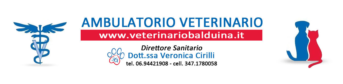 Veterinario Balduina